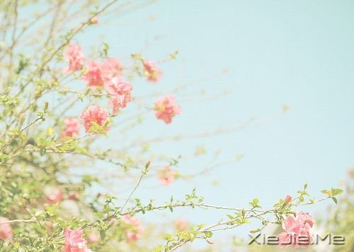 早安心语：生命中有风有雨，也有阳光 (2)