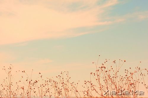 早安心语：生命中有风有雨，也有阳光 (7)